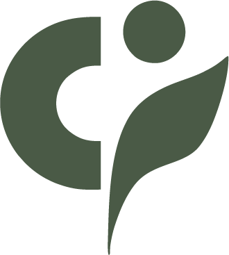 website logo